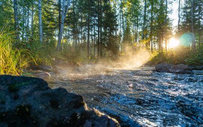 Rethinking Water